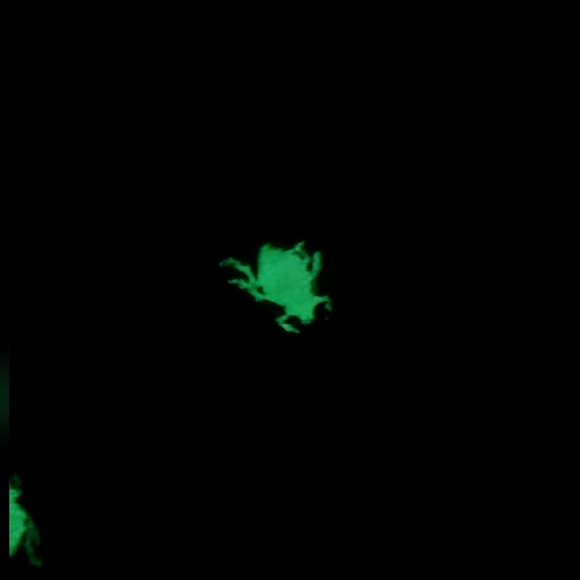 Beetlejuice Beetlejuice Lydia Sandworm Ghost Hooded Cardigan Sweater Glow dark - Picture 4 of 5